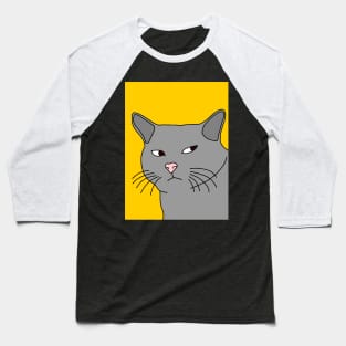 Suspicious Cat Baseball T-Shirt